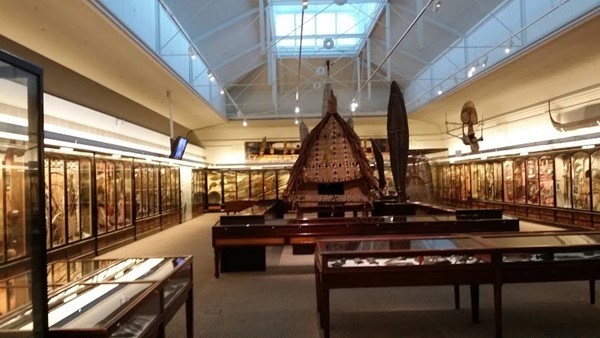 South Australian Museum