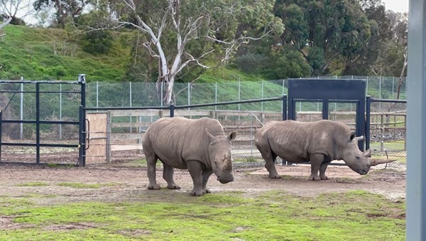 Werribee Open Range Zoo