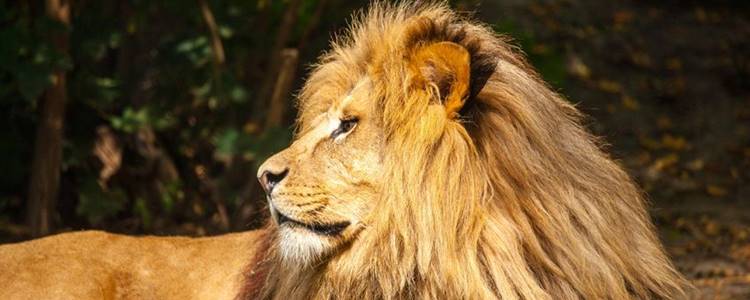 Taronga Western Plains Zoo