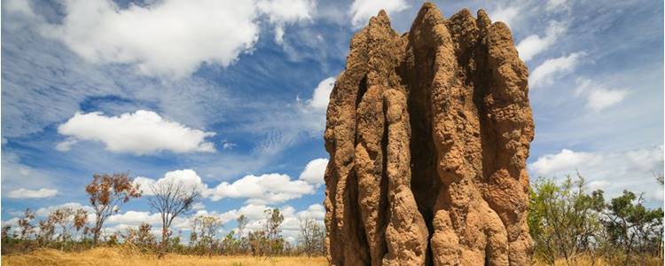 Kakadu National Park